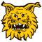 FC Ilves