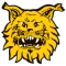 FC Ilves